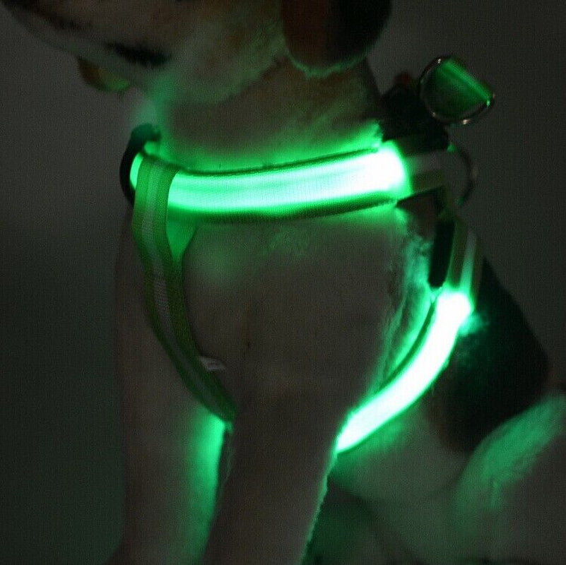 USB RECHARGEABLE Led Dog HARNESS ( Glow Flashing Light-Up Night Safety)