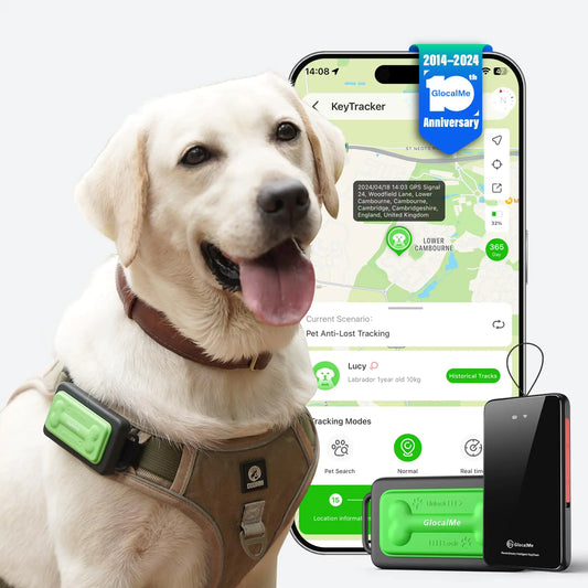 GlocalMe KeyTracker GPS Tracker for Dogs Global Unlimited Range Pet Tracker with 6 Location Technologies for Real Time Tracking GPS Dog Tracker with Global Network Service Waterproof