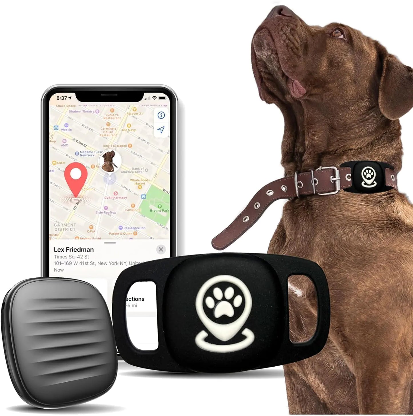 Dog Tracker Smart Pet Location Tracker with Collar Holder Personalized Smart Item Finder MFi Certificated Dog Tracking Device No Monthly Fee Works with Find My (iOS Only) Not a GPS Tracker