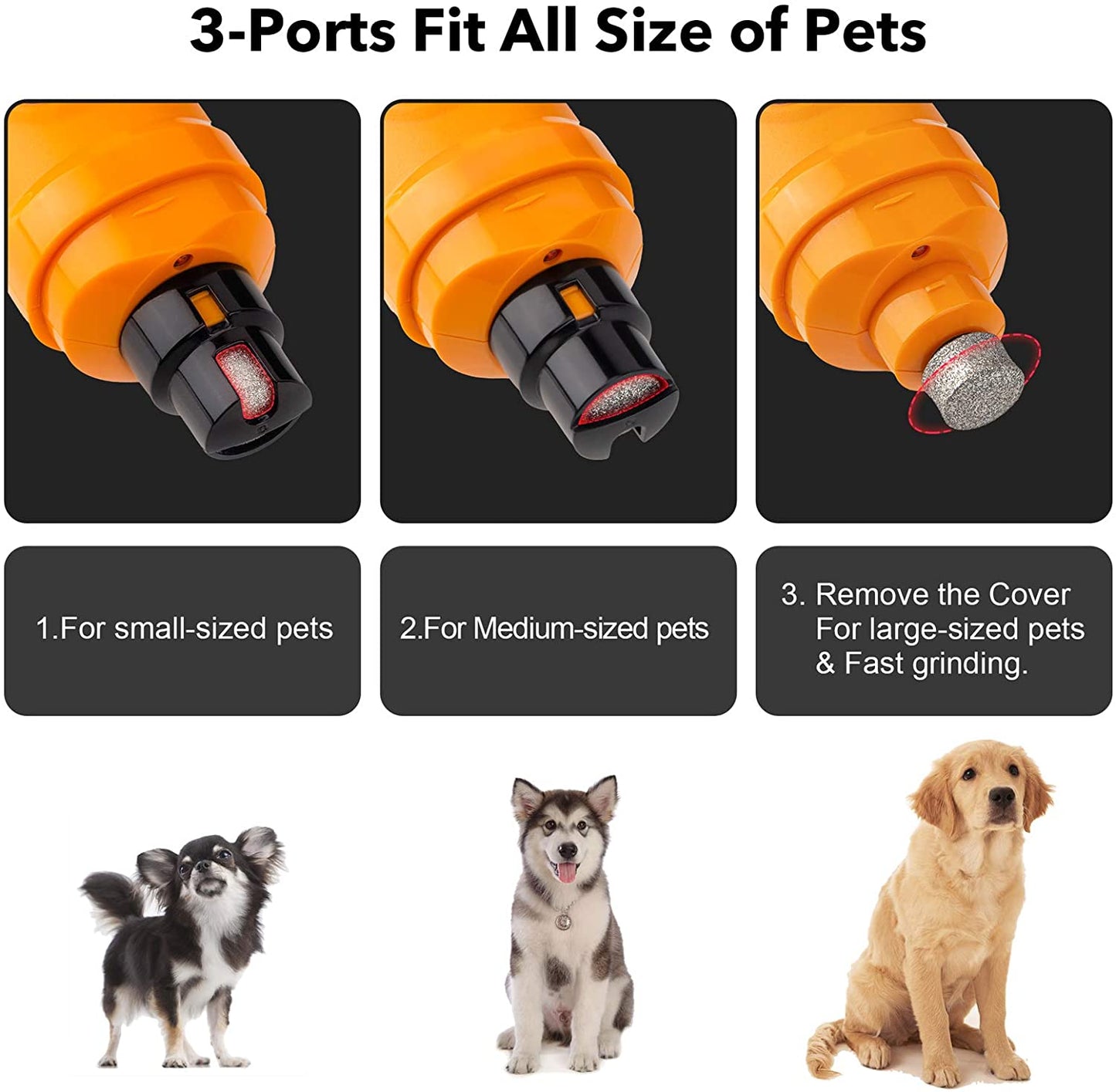 Dog Nail Grinder with 2 LED Light - New Version 2-Speed Powerful Electric Pet Nail Trimmer Professional Quiet Painless Paws Grooming & Smoothing for Small Medium Large Dogs and Cats (Orange)