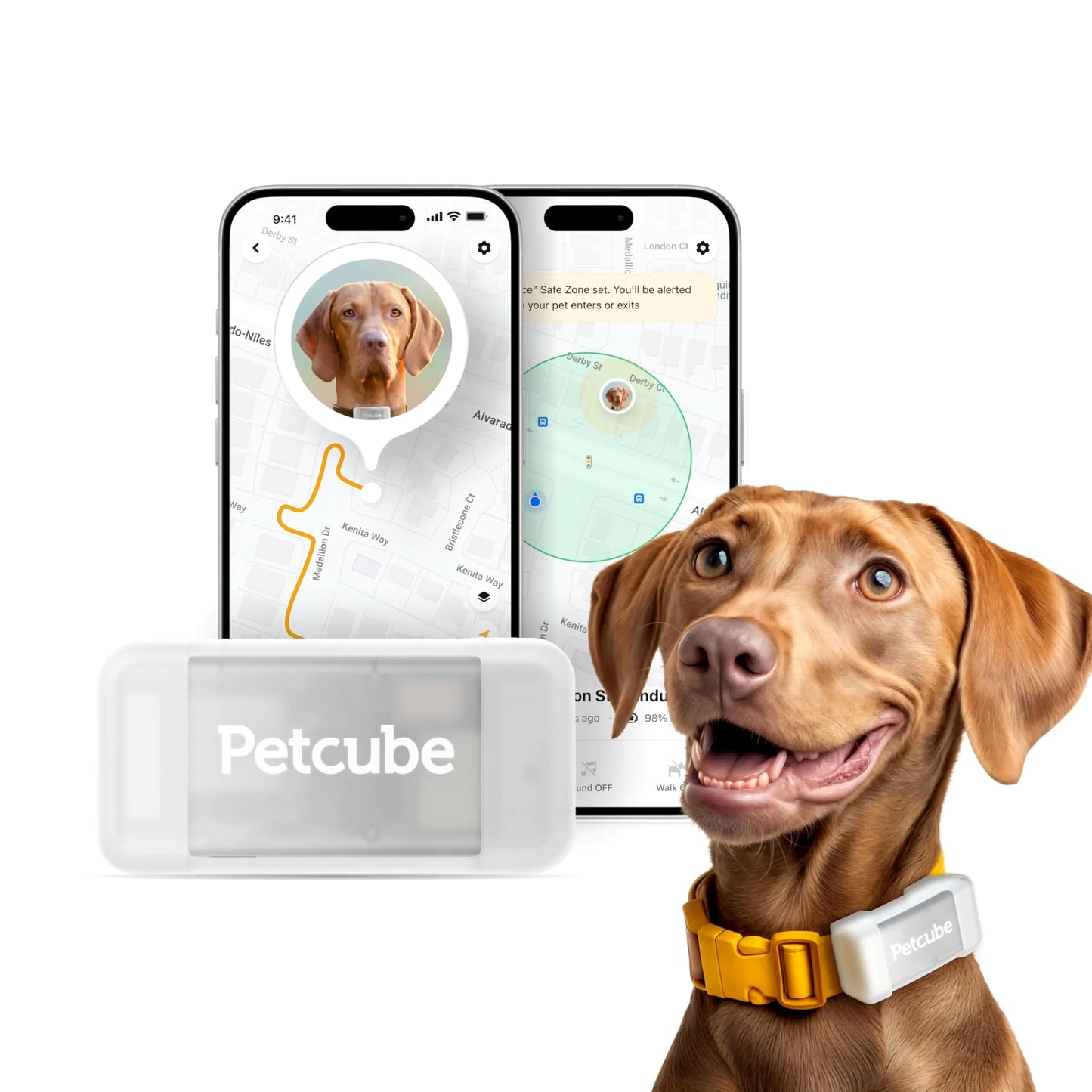 Petcube GPS Tracker for Dogs | Pet GPS Location Tracker with Escape Alerts and Virtual Fences Activity and Wellness Monitoring Glows in a Dark Water and Dust Proof