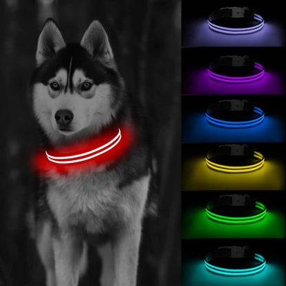 LED Dog Collar Light Up Dog Collar Lighted Dog Collar Adjustable for Night Walking Glow in The Dark Dog Collars Light with USB Rechargeable Color Changing Waterproof for Dogs (Medium)