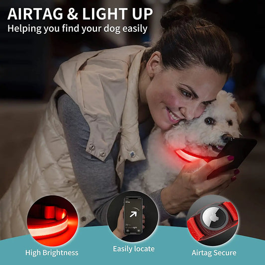 LED Dog Collar Light USB Chargeable