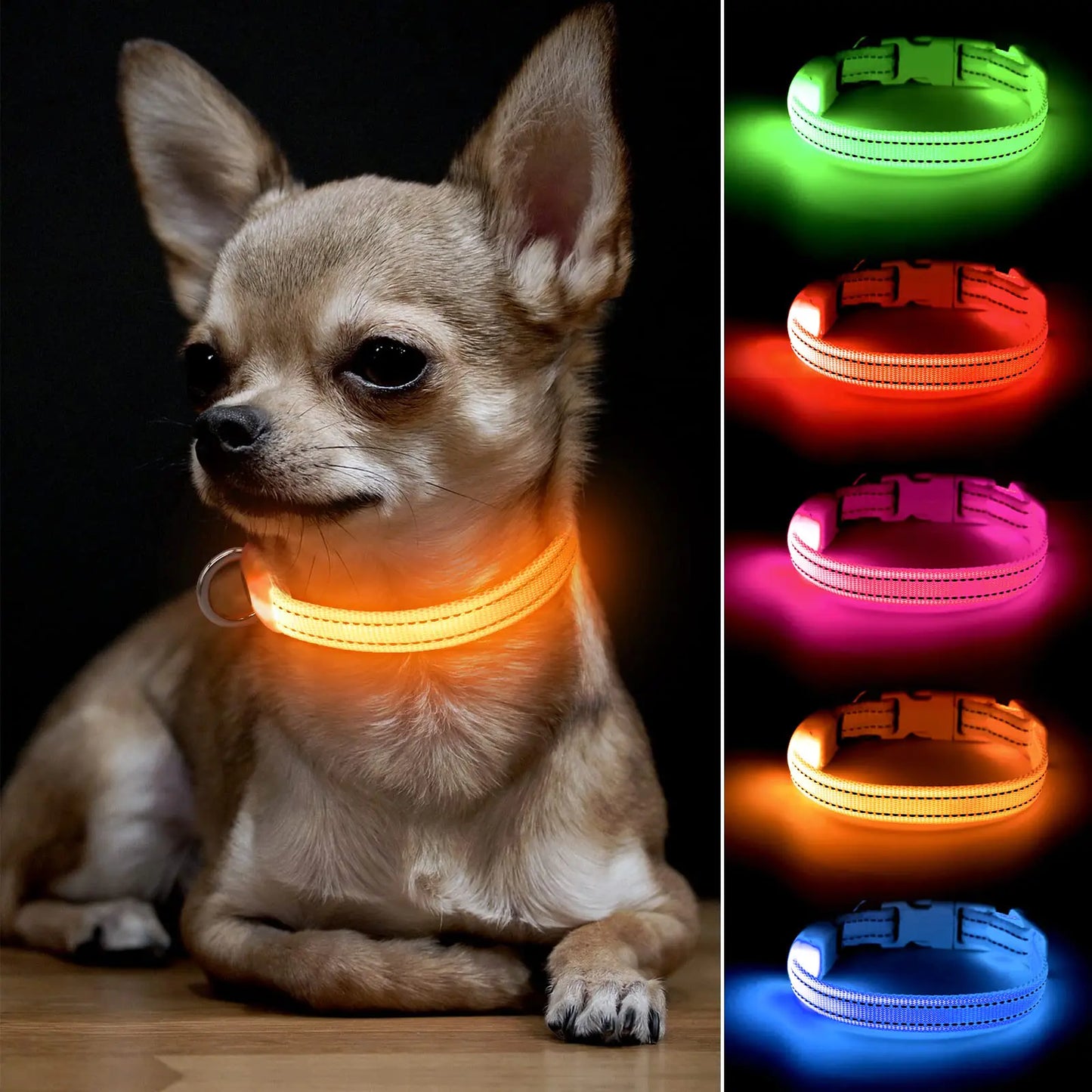 BSEEN Light Up Dog Collars for Small Dogs - Rechargeable LED Puppy Collar - Glowing Cat Collars - Dog Camping Gear Dog Lights for Night Walking(Orange XS)