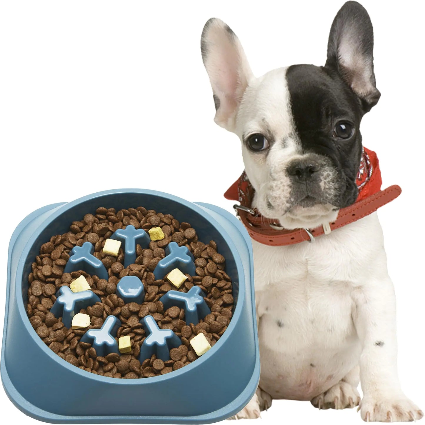 Gefryco Slow Feeder Dog Bowls Anti Gulping - Healthy Slow Eating Dog Bowl Bloat Stop - Adult Puppy Slow Food Feeding Bowl - Dog Puzzle Maze Bowls That Slow Down Eating for Small Medium Size Dogs