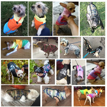 Warm Autumn / Winter Dog Clothes