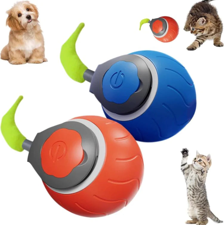 Pet Ball Toy