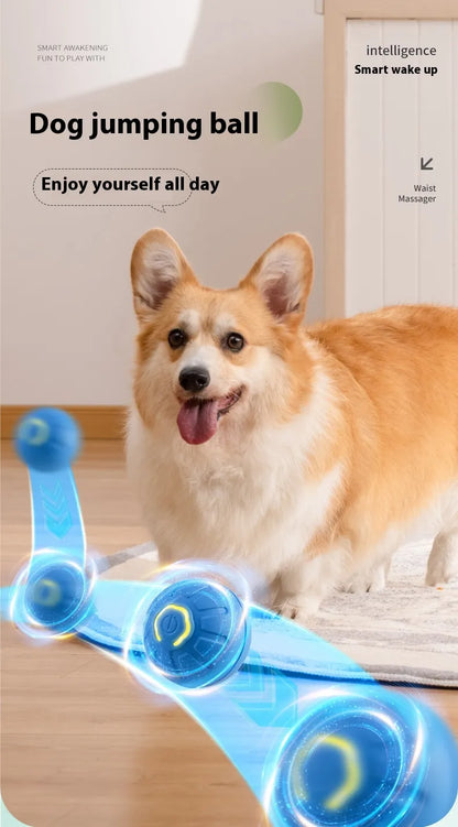 Smart Interactive Dog Toy Ball