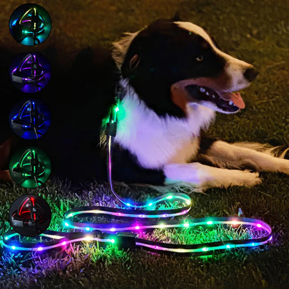 Luminoid LED Dog Leash | USB Rechargeable | 6 Feet | RGB IC Color Changing Light Up Dog Leashes Dog Lights Make Pets Visible and Safe for Night Walking 12 Animated Effects Multi-Color by Glowy Zoey