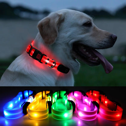 ROUWINNE Led Light Up Dog Collars Adjustable Lighted Dog Collar for Night Walking Waterproof Glowing Dog Collar Light Up Dog Collars USB Rechargeable for Medium Large Dogs (Red Pack of 1)