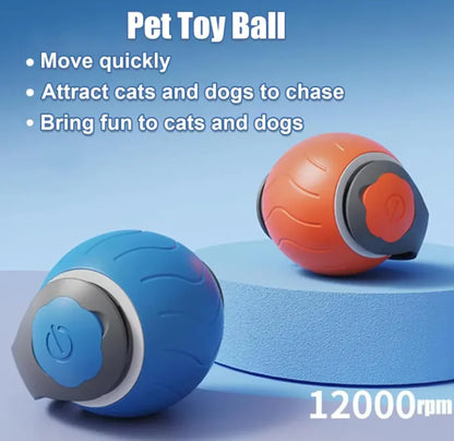 Pet Ball Toy