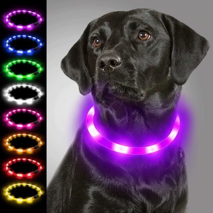 Joytale Light Up Dog Collar Rechargeable Rainproof LED Dog Collar for Night Walking Safety Soft Silicone Glow in The Dark Collar for Small Medium Large Dogs Purple