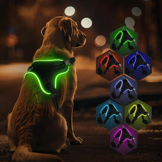 Light Up Dog Harness No Pull Dog Harness Rechargeable Lighted Pet Vest Harness for Night Walking Reflective Dog Vest Glow Dog Collar Adjustable Soft Padded Leash 7 Colors Changing 3 LED Modes (M)