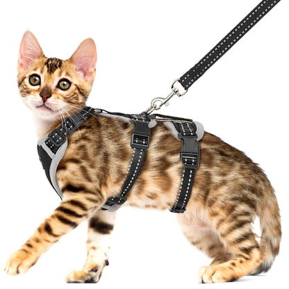 Cat Harness for Walking Escape Proof Cat Harness and Leash Set with Reflective Strip Adjustable Cat Leash Breathable Soft Vest for Small to Large Cats BlackGrey M