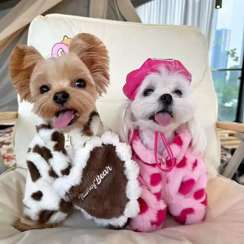 Pet autumn and winter warm clothes