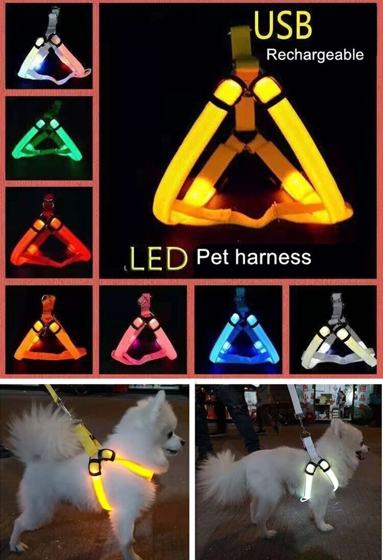 USB RECHARGEABLE Led Dog HARNESS ( Glow Flashing Light-Up Night Safety)