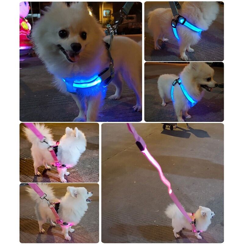 USB RECHARGEABLE Led Dog HARNESS ( Glow Flashing Light-Up Night Safety)