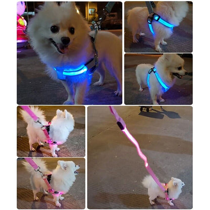 USB RECHARGEABLE Led Dog HARNESS ( Glow Flashing Light-Up Night Safety)