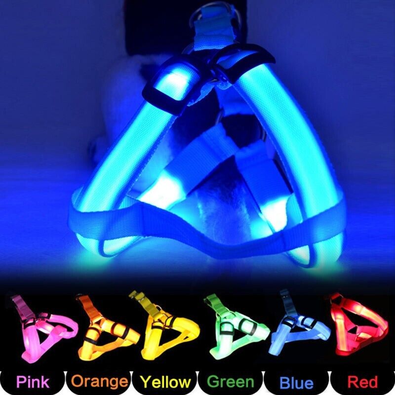 USB RECHARGEABLE Led Dog HARNESS ( Glow Flashing Light-Up Night Safety)