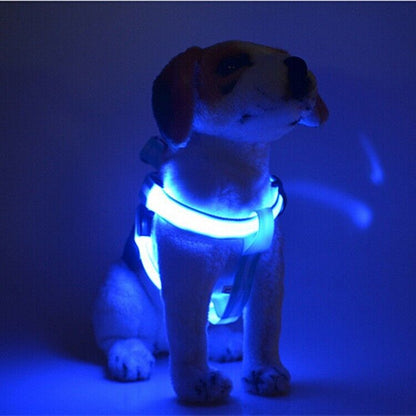 USB RECHARGEABLE Led Dog HARNESS ( Glow Flashing Light-Up Night Safety)