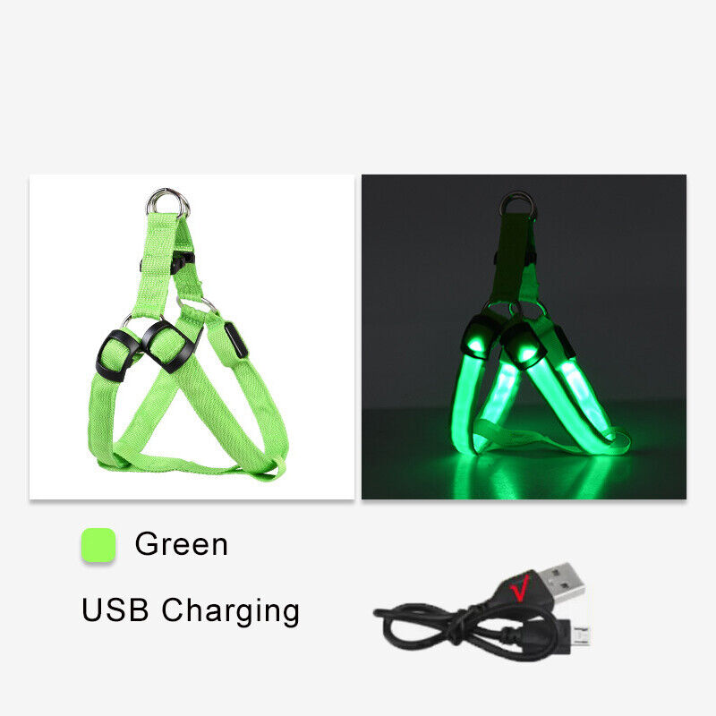 USB RECHARGEABLE Led Dog HARNESS ( Glow Flashing Light-Up Night Safety)