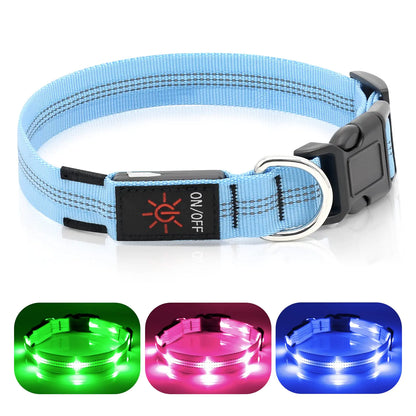 Weesiber Light Up Dog Collars - Rechargeable LED Dog Collar - Reflective Dog Camping Collar - Adjustable Pet Collar for Large Dogs - Glowing Christmas Dog Lights for Night Walking (Blue Large)