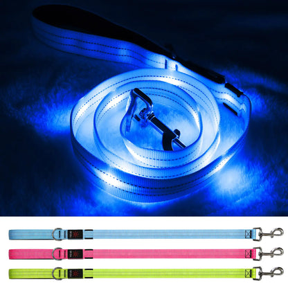 Blinlit Led Dog Leash 4 Ft Light Up Dog Leash Rechargeable Waterproof Nylon Reflective Leashes with Padded Handle for Night Walking Safety Glow in The Dark Dog Leash for Large Medium Small Pets