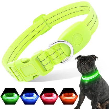 PZRLit Light Up Dog Collars Rechargeable Reflective LED Glow Dark Dog Collar for Small Medium Large Dogs Adjustable Pet Dog Lights for Safe Night Walk-Green Small