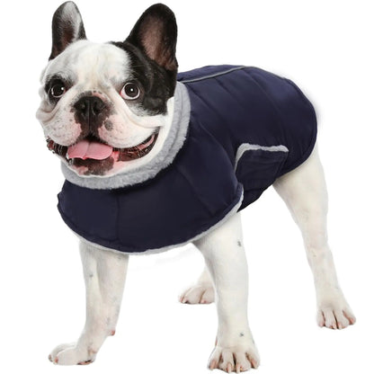 IECOii Small Dog CoatFleece Warm Dog Winter Coat WaterproofTurtleneck Dog Cold Weather Coats Reflective Puppy Winter ClothesCozy Doggy Snowsuit for Small Dogs Like Teddy ShitzuToy PoodleBlue-S